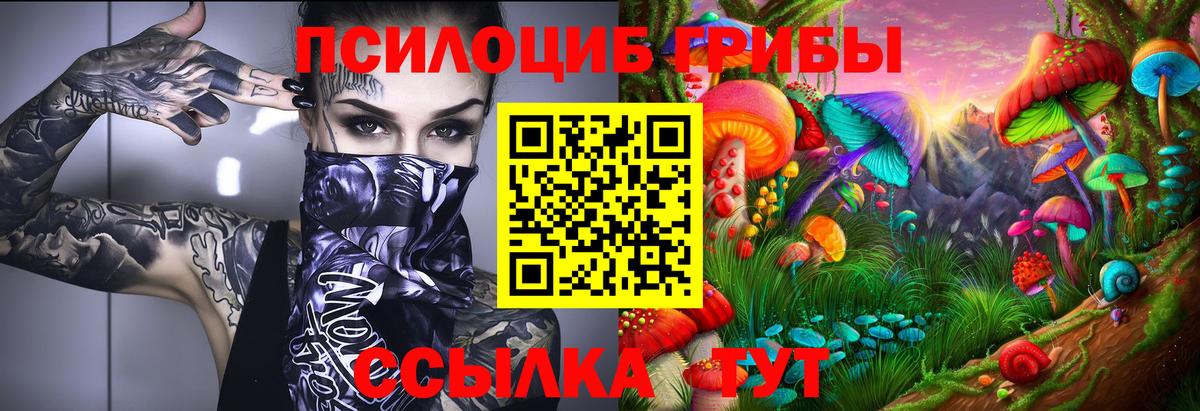 Галлюциногенные грибы прущие грибы Заречный