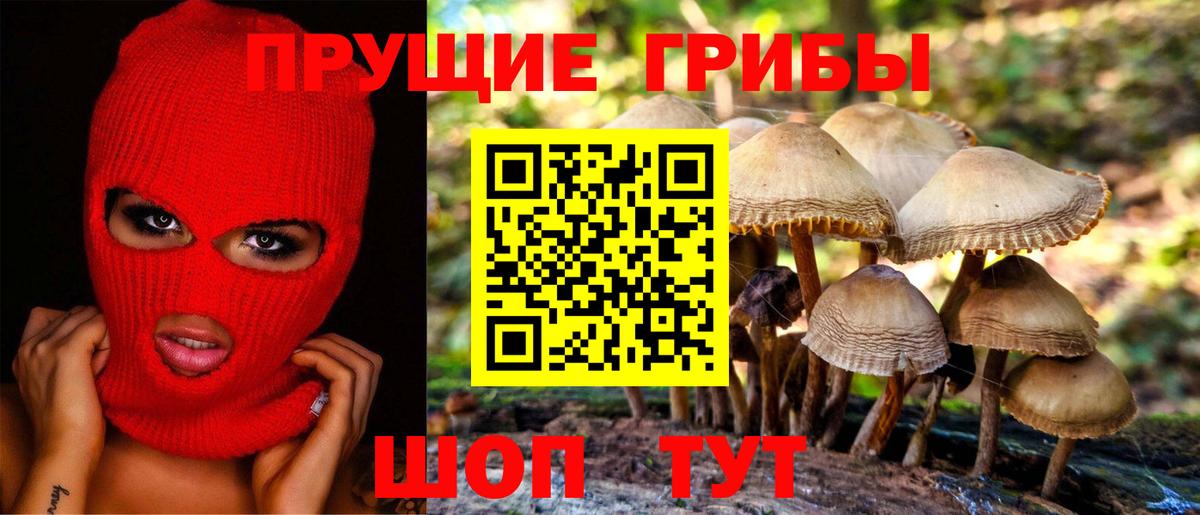 Псилоцибиновые грибы мицелий  Вход с VPN  Заречный  Псилоцибиновые грибы Psilocybine cubensis 